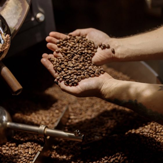 male-hands-holding-freshly-roasted-coffee-beans-2022-04-07-12-42-43-utc (1) copy